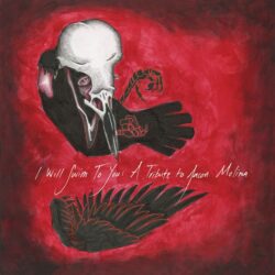"I will swim to You" A Tribute to Jason Molina album cover