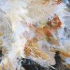 Tobias Bergson Alchemises EMMI IIDA’s ‘Tell Me’ into Ethereal Melodic House – PLAYY. Magazine
