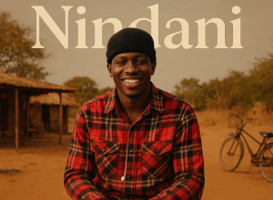 Sky B 321-Nindani | Zedhousezambia