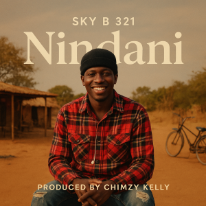 Sky B 321-Nindani | Zedhousezambia