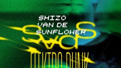 Shizo van de Sunflower’s Latest Is a Techno-Punk Knockout – RCRD LBL